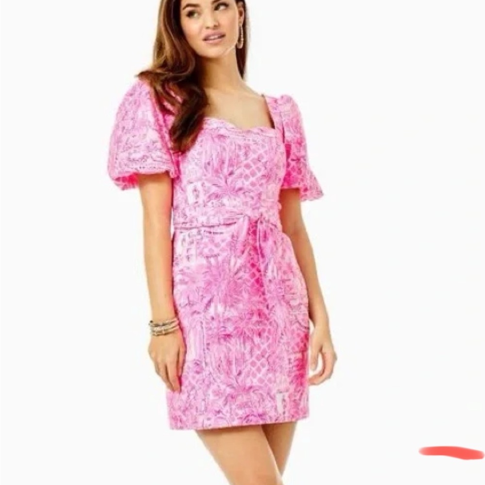 Lilly Pulitzer Merian Stretch Dress in size 4